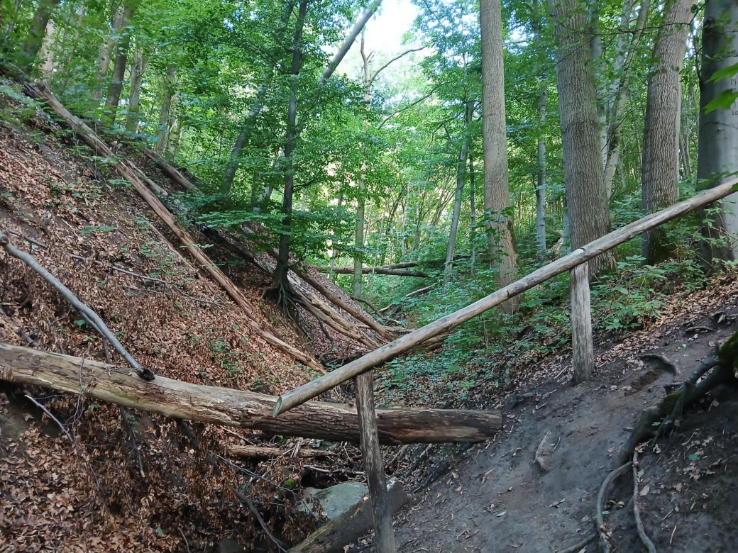 Wandale zniszczyli przyrodniczy skarb pod Bydgoszczą. Jaskinia „Bajka” oszpecona farbą