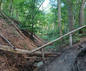 Wandale zniszczyli przyrodniczy skarb pod Bydgoszczą. Jaskinia „Bajka” oszpecona farbą