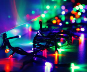 Zepsute lampki choinkowe? „Nie wyrzucaj do śmieci!” Grozi ci 5000 zł kary