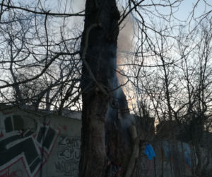 Urządził sobie śmietnik w drzewie. O krok od tragedii