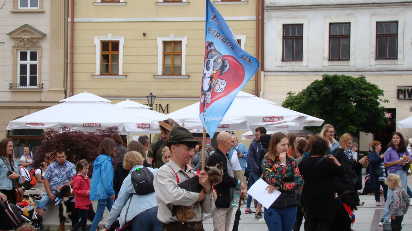 Tarnów w Tricolorze - Zjazd Berneńczyków
