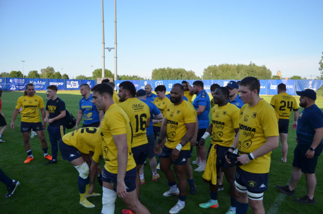 Siedlczanie wygrali półfinałowy mecz Ekstraligi Rugby! MKS Awenta Pogoń Siedlce pokonał Life Style Catering RC Arka Gdynia