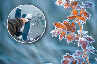 Przymrozki uderzą w niemal całą Polskę. IMGW ostrzega 15 województw
