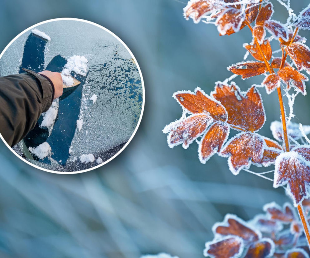 IMGW ostrzega przed przymrozkami