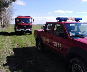 Podlaskie. Strażacy przez trzy godziny szukali uciekinierki