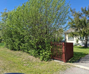 Jeżów. Ta świętokrzyska wieś powstała w XII wieku. Niewielu wie, że była częścią niezwykłej wymiany między zakonnikami. Jak wygląda dziś?