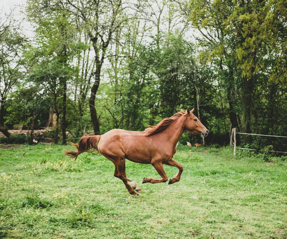 zawody