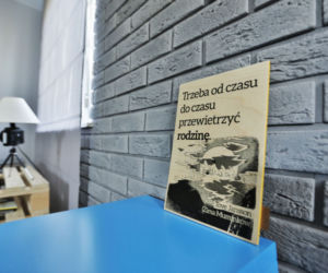 Szara cegła na ścianie