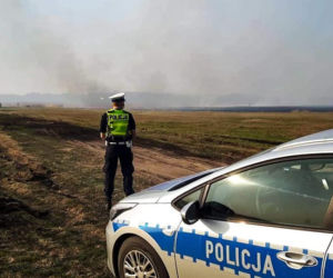 Pożar Biebrzańskiego Parku Narodowego. Akcję wspiera policyjne Black Hawk