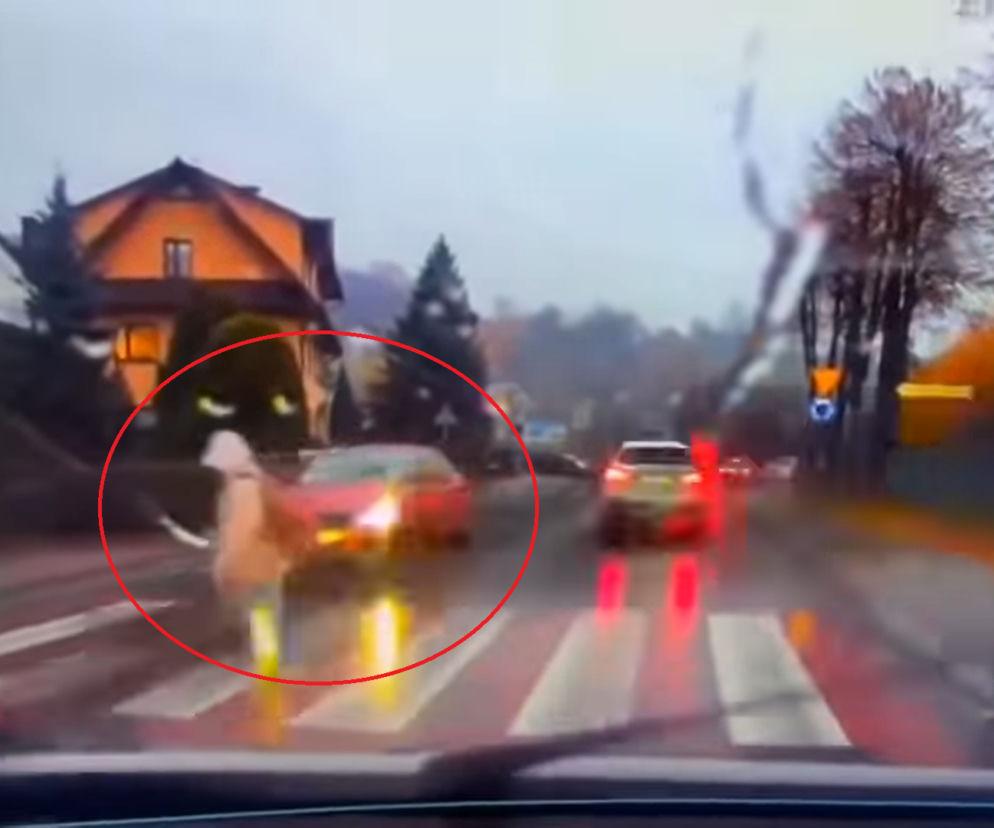 Dziewczynka wchodzi na pasy, a kierowca ani myśli się zatrzymać! O krok od tragedii