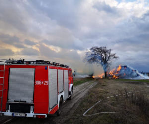 Dym widoczny był z DK 10. Strażacy walczyli z ogniem dwanaście godzin!