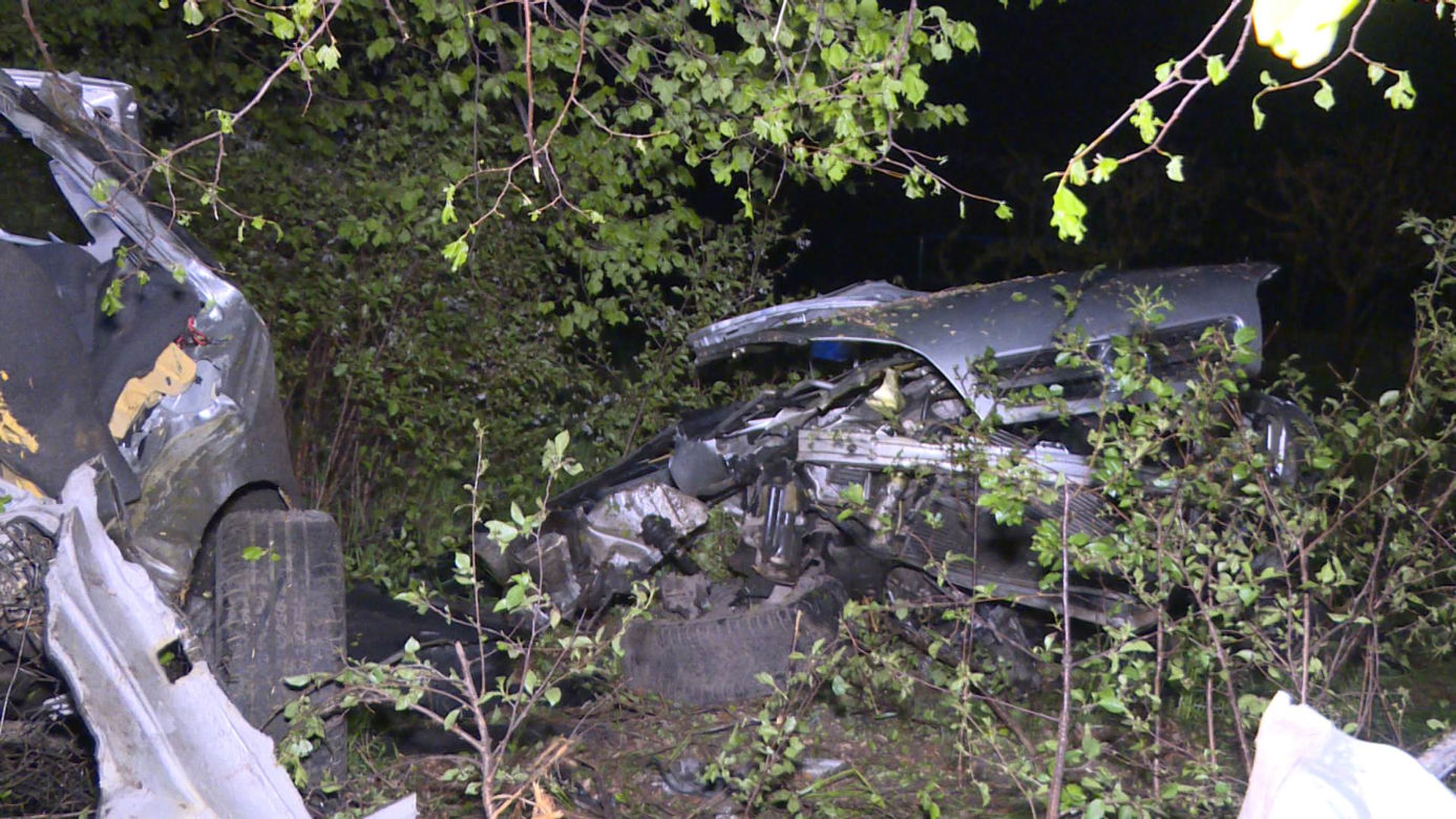 Śmiertelny wypadek pod Gostyniem. Opel i peugeot 18-latków roztrzaskały się o drzewo [ZDJĘCIA]