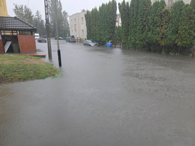 Zalany Rzeszów
