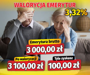 Fiszki waloryzacyjne