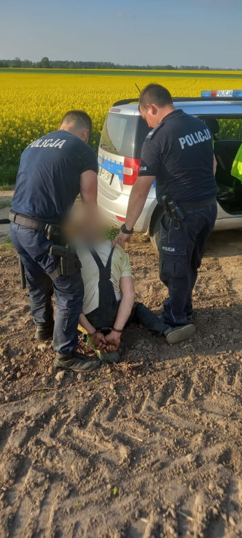 Wielkopolskie. Uciekał przed policją skuterem, a potem pieszo przez pola rzepaku! Policjanci łapali się za głowy  [ZDJĘCIA]