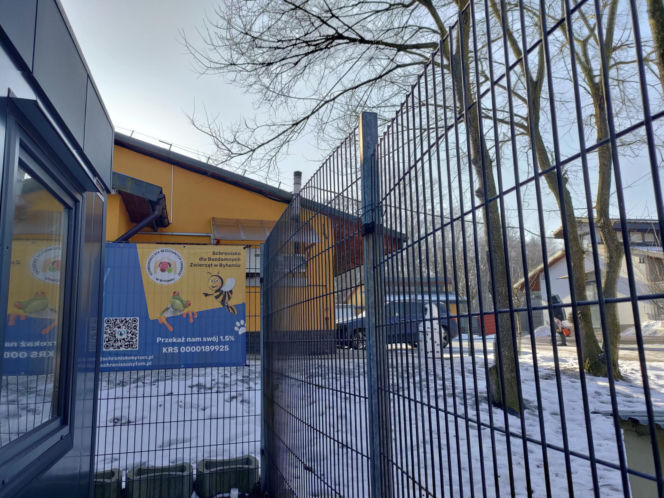 Zamieszanie w schronisku dla zwierząt w Bytomiu