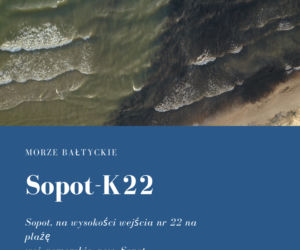 Sinice w Bałtyku 2021. Te kąpieliska są zamknięte. Woda ma kolor zielony!