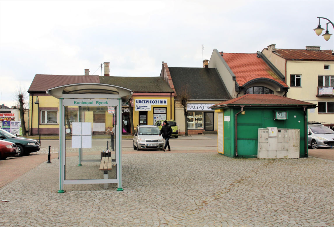 To miasto jest jednym z najpiękniejszych na Śląsku. Zachwyca unikatowym pałacem w województwie