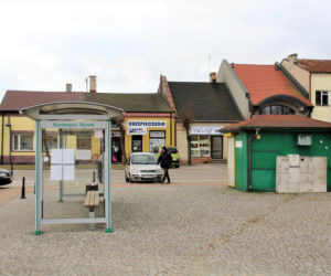 To miasto jest jednym z najpiękniejszych na Śląsku. Zachwyca unikatowym pałacem w województwie