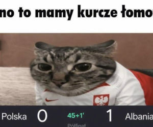 Internet zalała fala bezlitosnych memów