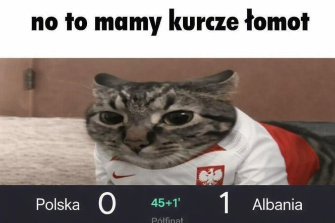 Internet zalała fala bezlitosnych memów