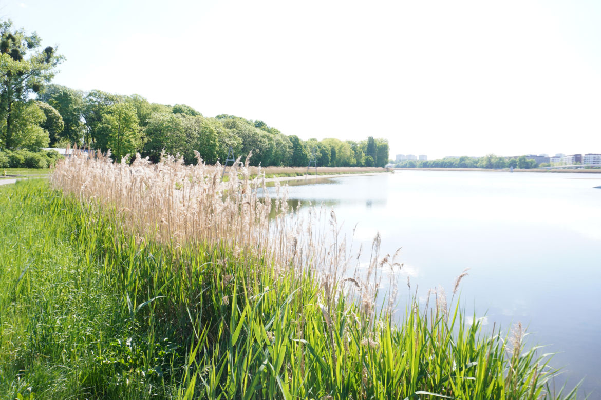 3. Park nad Maltą 