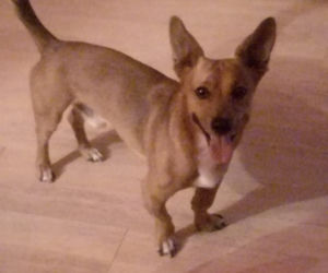 Kuki
