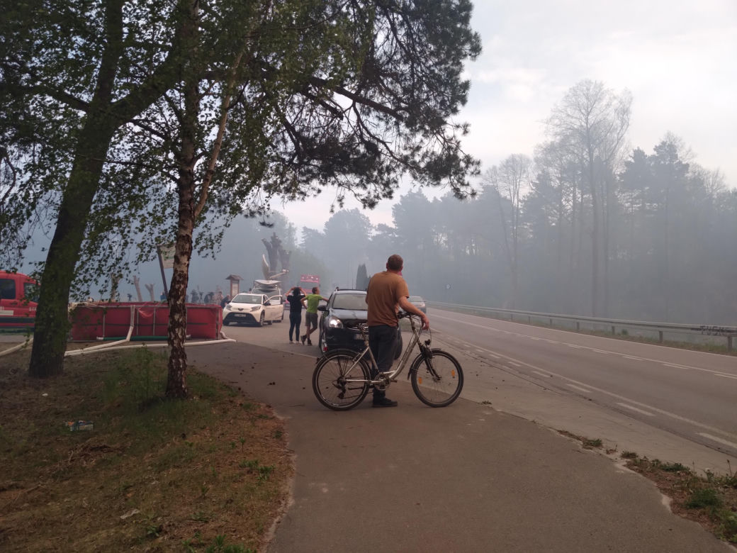 Pożar w Puszczy Białowieskiej
