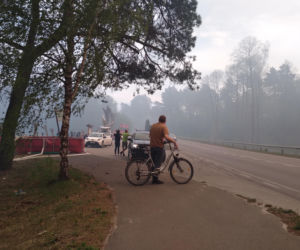Pożar w Puszczy Białowieskiej