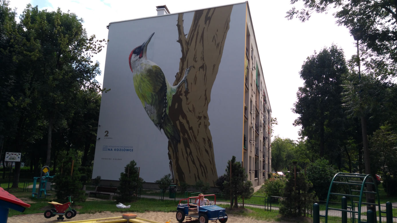 Ptasie murale na Kozłówku