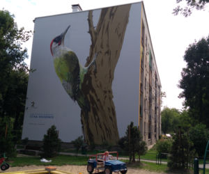 Ptasie murale na Kozłówku
