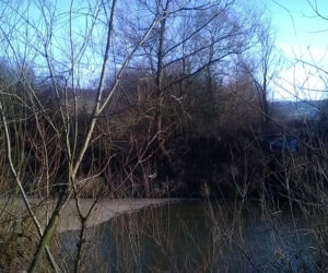 Od samego patrzenia robi się niedobrze! Rzeka wygląda jak rynsztok! 
