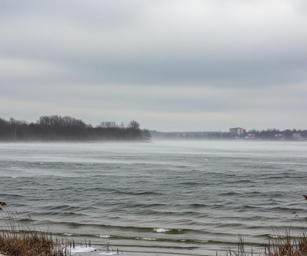 Na pierwszym planie widoczne są brązowe, wyschnięte trawy i trzciny pokryte delikatnym puchem śniegu, które lekko odchylają się w prawą stronę. Za nimi rozciąga się ciemnoszare jezioro z wyraźnymi falami, na których unosi się mgła wodna, zwłaszcza w oddali, co świadczy o wietrznej pogodzie. Na horyzoncie, za lustrem wody, znajduje się ciemny pas bezlistnych drzew, a nieco dalej widać kilka budynków o jasnych ścianach. Całość sceny dominuje szare, zachmurzone niebo.