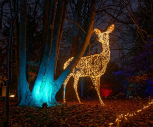 Świąteczne iluminacje w Warszawie