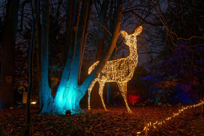 Świąteczne iluminacje w Warszawie