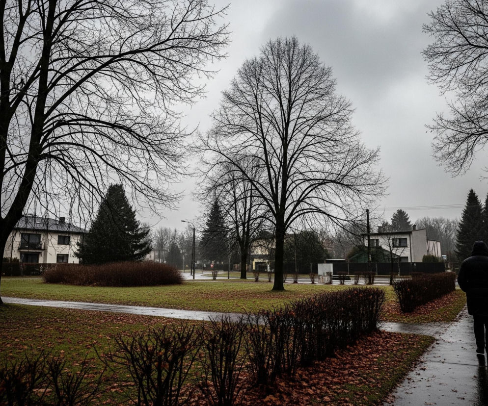 Mężczyzna w ciemnej kurtce z kapturem idzie odwrócony plecami do widza, mokrym chodnikiem po prawej stronie. Chodnik ten biegnie wzdłuż rzędu krzewów bez liści i trawnika pokrytego opadłymi, brązowymi liśćmi. Po lewej stronie widać rozległy trawnik, na którym stoją trzy wysokie, bezlistne drzewa z ciemnymi gałęziami, a także kilka mniejszych krzewów i iglaków. W tle, za drzewami, rozsiane są jasne budynki mieszkalne z ciemnymi dachami, a pochmurne, szare niebo zajmuje górną część kadru.