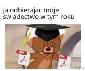 Memy o koronawirusie