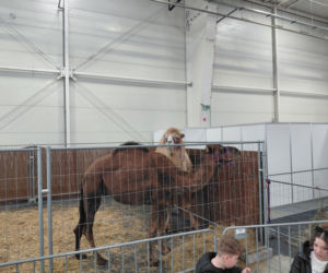 Zoopark Lublin 14.03.26