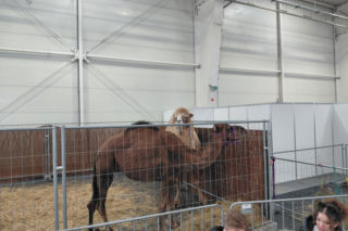 Zoopark Lublin 14.03.26