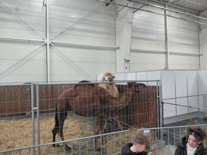 Zoopark Lublin 14.03.26