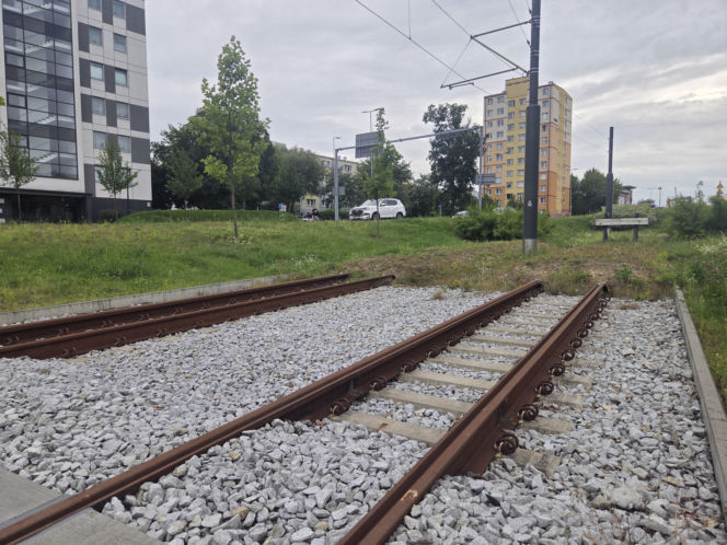Tędy za dwa lata pojadą tramwaje. Na Szwederowie rozpoczęła się budowa nowej trasy tramwajowej