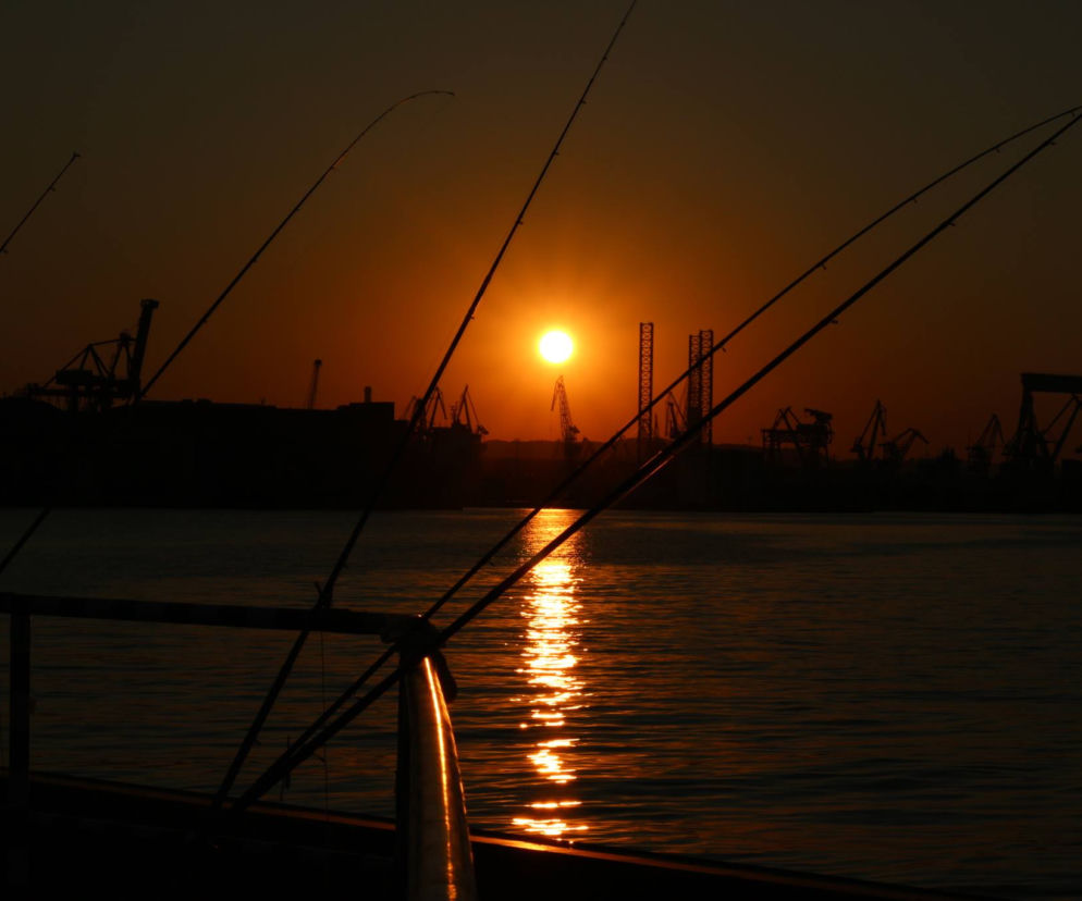 Port w Gdyni w zachodzącym słońcu