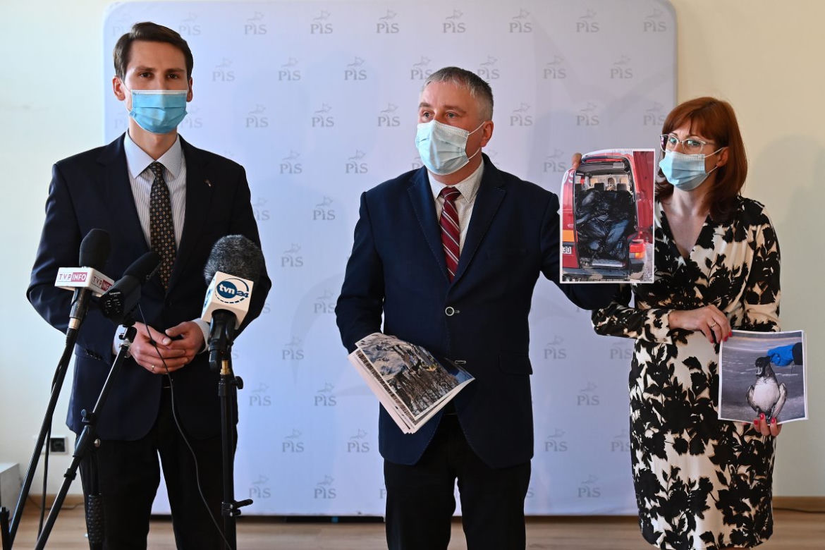 Ptasia grypa dziesiątkuje łabędzie na Zatoce Puckiej