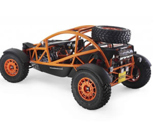 Ariel Nomad