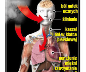 tak zabija sarin