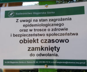Ograniczenia w lasach. Parkingi i punkty postoju niedostępne dla turystów