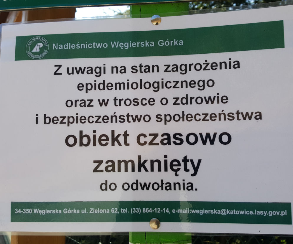 Ograniczenia w lasach. Parkingi i punkty postoju niedostępne dla turystów