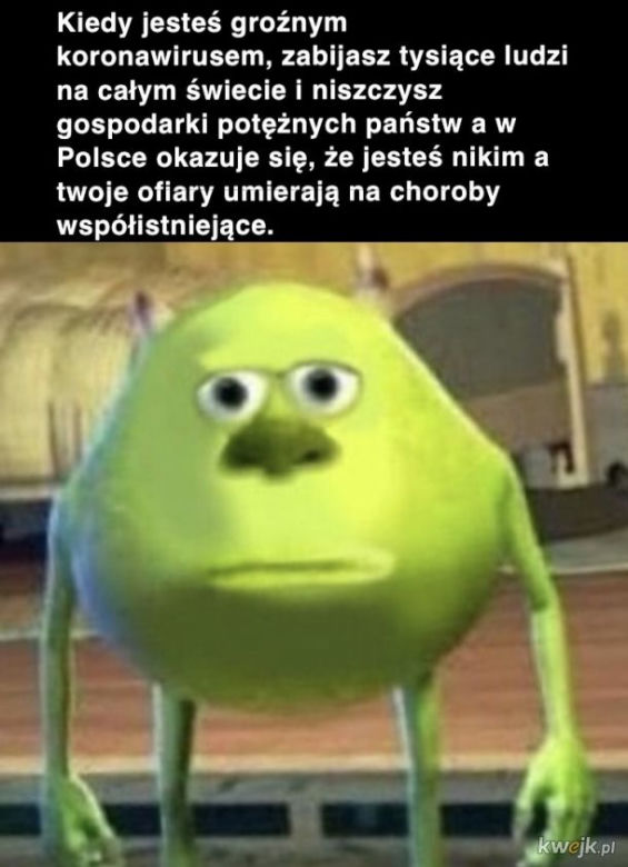 Memy o koronawirusie