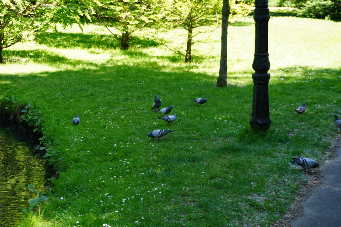 Park Sołacki w maju 2024