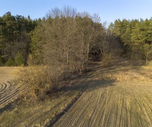 Światowa prasa pisze o śmierci Magdaleny Majtyki! Mówią o tajemnicy